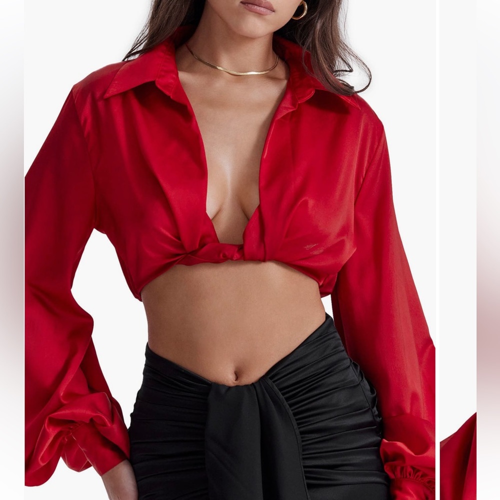 Laraina plunge neck stretch silk